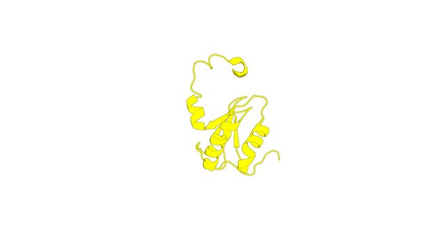 360&ordm; 3D rendering of a biological molecule. The RRM domain of poly(A)-specific ribonuclease has a noncanonical binding site for mRNA cap analog recognition.