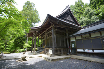 新緑の石道寺　本堂　滋賀県長浜市