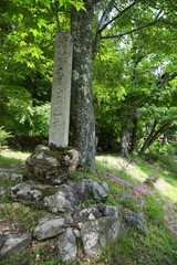 新緑の石道寺　参道の石碑　滋賀県長浜市