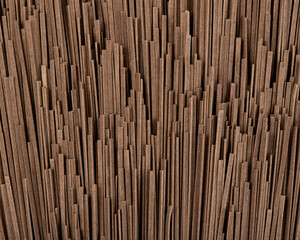 Raw whole grain brown spaghetti. Raw ramen noodles. Photo for site.