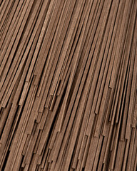 Raw whole grain brown spaghetti. Raw ramen noodles. Photo for site.