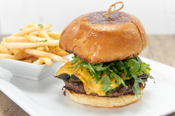 Enormous cheeseburger loaded with hamburger patty and melted cheese included french fries