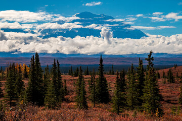 dramatic clouds partially covering   Mt Mckinley in DEnali national park  taken during autumn.