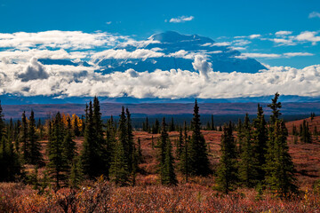 dramatic clouds partially covering   Mt Mckinley in DEnali national park  taken during autumn.