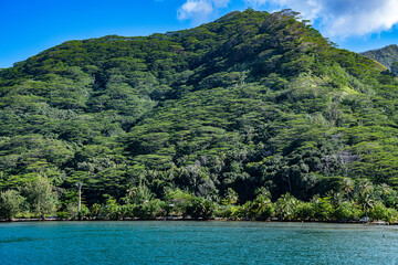 view of Moorea harbor, French Polynesia