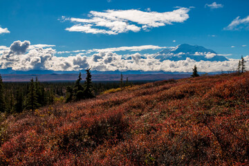 dramatic clouds partially covering   Mt Mckinley in DEnali national park  taken during autumn.
