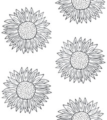 Vector seamless pattern of hand drawn doodle sketch sun sunflower flower isolated on white background