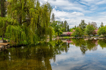 Fototapeta na wymiar Mirror Pond At Manito Park. Spokane Washington.