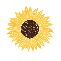 Vector hand drawn doodle sketch yellow sun sunflower flower isolated on white background