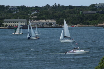 sailboat on the lake