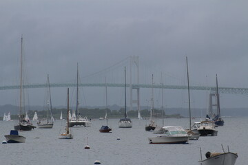 boats in the harbor
