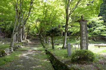 Fototapeta premium 新緑の鶏足寺 参道入口 滋賀県長浜市
