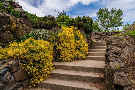 Stairs Leading To The Rose Garden At Manito Park. Spokane, Washington.