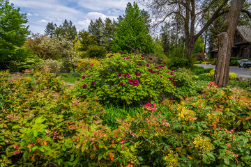 Fototapeta na wymiar Perennial Gardens At Manito Park. Spokane, Washington.