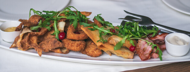 Long oval plate with variety of snacks: chips, nachos, bacon, lavash with cheese, arugula, squid rings or breaded onions