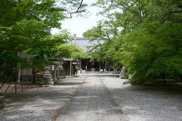Fototapeta premium 向源寺 参道と渡岸寺観音堂 滋賀県長浜市