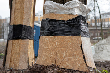 Protection of trees  on construction and development sites. Protection  to preserve and protect
tree health by avoiding damage to tree roots, trunk, or crown. - obrazy, fototapety, plakaty