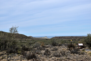 Vista de cabeza del león en Parque Nacional Monte León en patagonia argentina