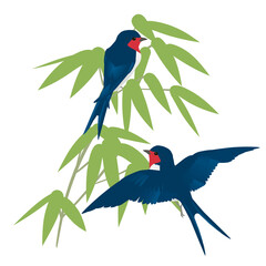 夏らしい笹に燕のベクターイラスト © interemit