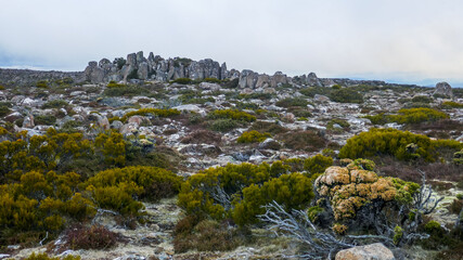 Mount Wellington, Tasmania, Australia