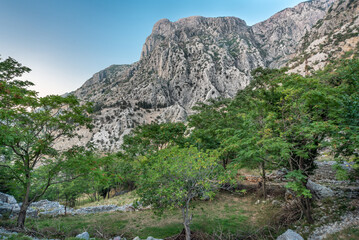 Lovcen Mountain surrounded by beautiful green trees and blue sky, Kotor,Montenegro.