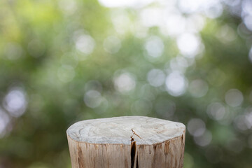 Naklejka premium Beautiful texture of old tree stump table top on blur green garden farm background.For create product display or design key visual layout.