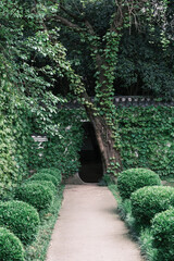 Naklejka premium Early spring scenery of Moshan Bonsai Garden in East Lake, Wuhan, Hubei