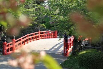 鷹丘橋