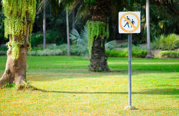 No Walking Sign in a Park