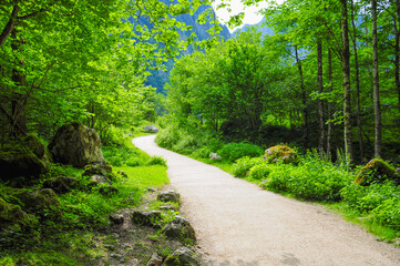 Fototapeta premium Trail on through the mountains to the Obersee, near the Königssee, German. Bavarian alps.
