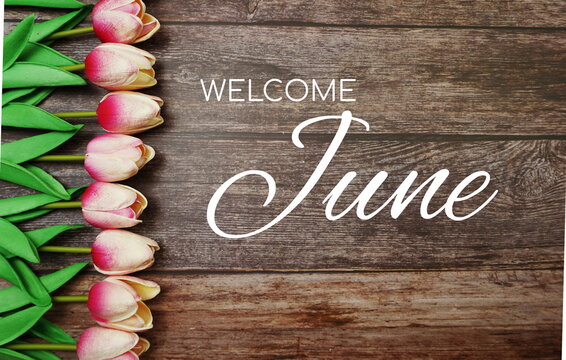 Welcome June text and tulip flower decoration on wooden background