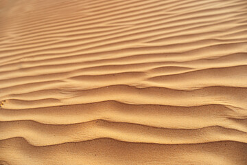 Wavy sand texture in Dubai desert close up