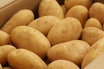 じゃがいも（ピルカ）