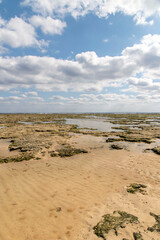 奄美大島の大瀬海岸