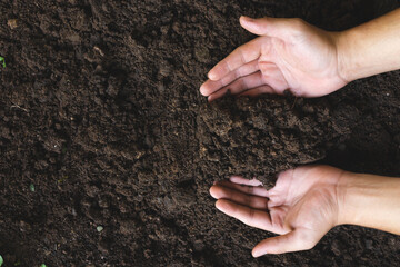 Top view a woman's hand embraces black soil with rich minerals and elements nutrients suitable cultivating successful agriculture, Concept Care, treatment, tillage. with a copy space for text.