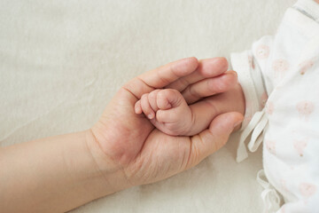 赤ちゃんの手