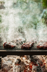 BBQ RIbs on a Smokey Grill Over Wood Embers
