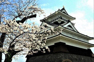 Fototapeta na wymiar 桜の中の上山城