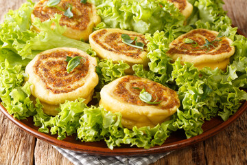 French Beef pastry snails Fleischschnacka serve with lettuce close-up in a plate on the table. Horizontal
