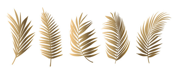 Beautiful gold palm tree leaf set silhouette background vector illustration 