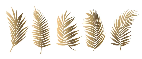 Poster Beautiful gold palm tree leaf set silhouette background vector illustration  © SarraMagdalina