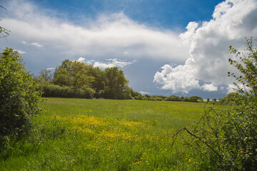 Landschaft im Morvan in Frankreich