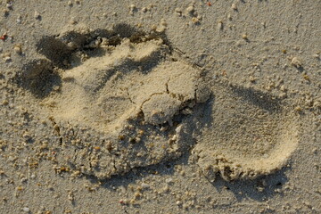 Indonesia Anambas Islands - Telaga Island Footprint in the Sand