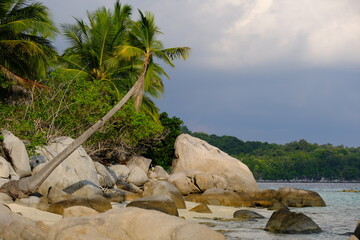 Indonesia Anambas Islands - Telaga Island beach with palm trees and rocks