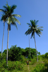 Indonesia Anambas Islands - Telaga Island hiking path