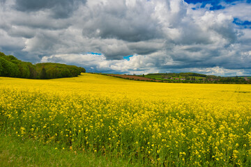 Ragspfeld bei Licheres sur Yonne im Burgund
