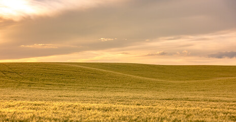 Rolling hills and Farm Land at palouse washington
