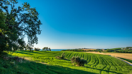 Beautiful sunrise in the countryside of Marche in a summer morning