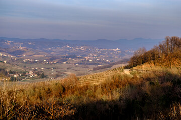 Spring sunset in the vineyards of Collio Friulano