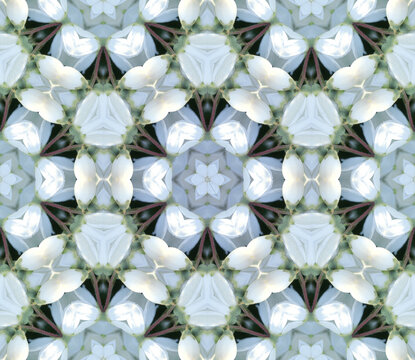 白い花の万華鏡パターン